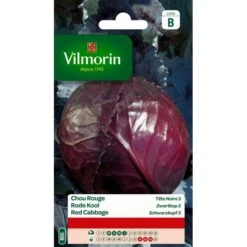 Rode Kool Zwartkop 3