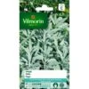 Salie - Salvia Officinalis 2 Salie - Salvia Officinalis -DCM Verkoopwinkel salie salvia officinalis 1646839519 63 600