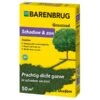 Barenbrug Shadow - Schaduw En Zon Graszaad 1 Kg -DCM Verkoopwinkel schaduw en zon 1 kg graszaad 1653991053 1 600