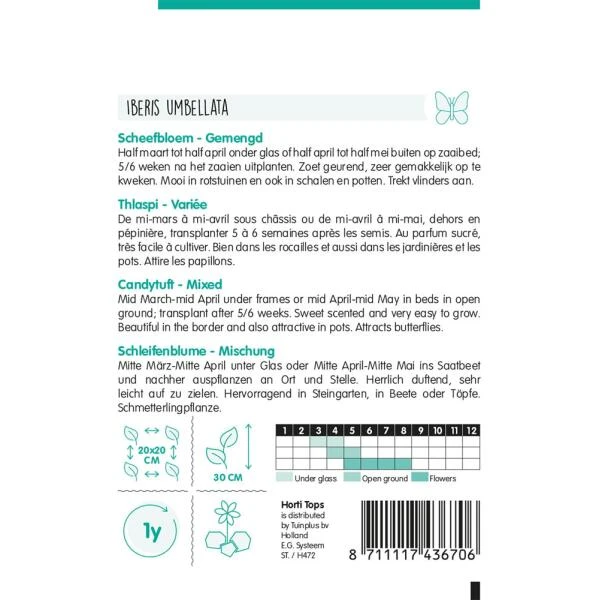 Scheefbloem Mix - Iberis Umbellata 4 Scheefbloem Mix - Iberis Umbellata - Afbeelding 2