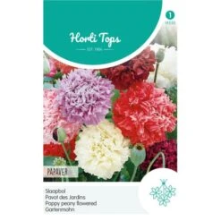 Slaapbol Roze/rood - Papaver Somniferum