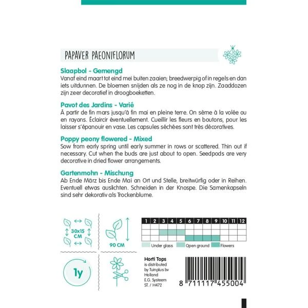 Slaapbol Roze/rood - Papaver Somniferum 4 Slaapbol Roze/rood - Papaver Somniferum - Afbeelding 2