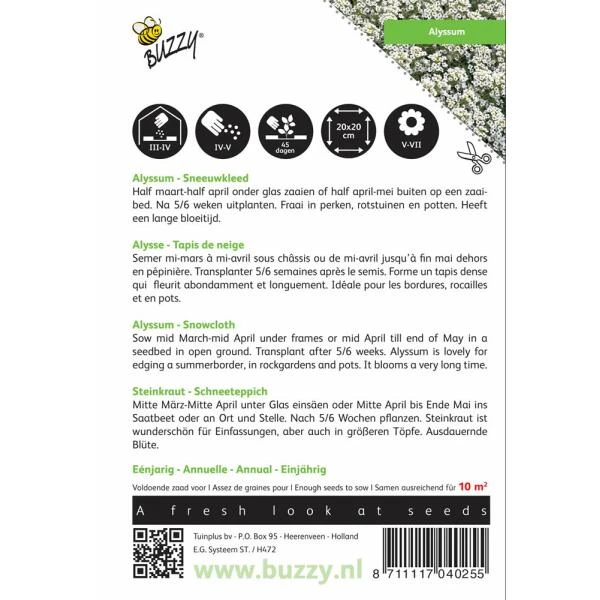 Sneeuwtapijt - Alyssum Marit. Procumbens 4 Sneeuwtapijt - Alyssum Marit. Procumbens - Afbeelding 2