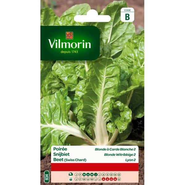 Snijbiet Blonde Witribbige 2 Van Lyon 3 Snijbiet Blonde Witribbige 2 Van Lyon