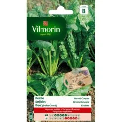 Snijbiet Groene Gewone