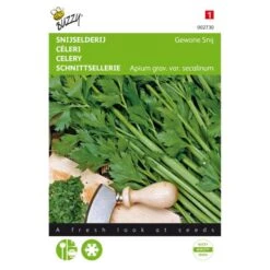 Snijselderie Gewone Snij - Apium Graveolens