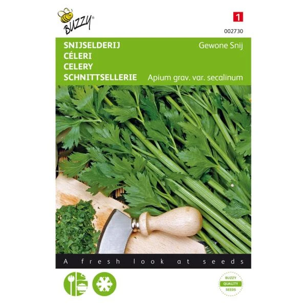 Snijselderie Gewone Snij - Apium Graveolens 3 Snijselderie Gewone Snij - Apium Graveolens