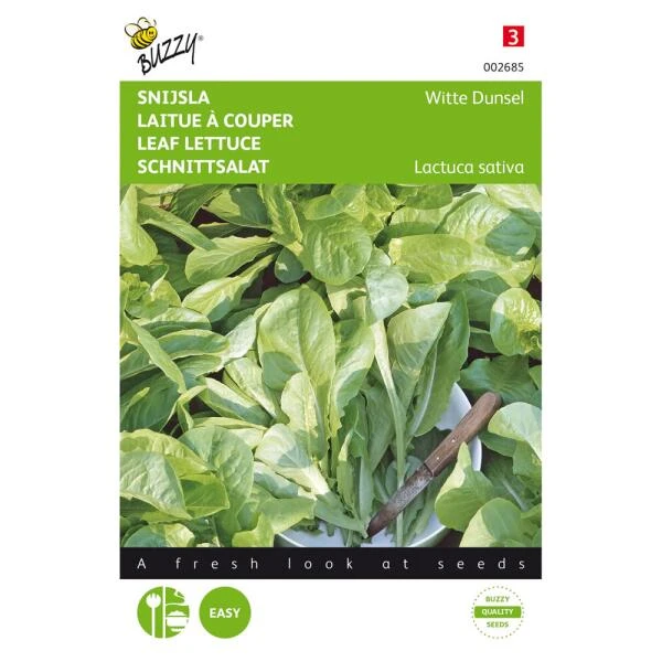 Snijsla Witte Dunsel - Lactuca Sativa 3 Snijsla Witte Dunsel - Lactuca Sativa