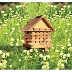 Solitaire Bijenkast In Hout - Educatief