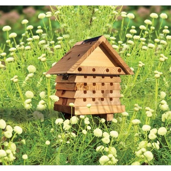 Solitaire Bijenkast In Hout - Educatief 3 Solitaire Bijenkast In Hout - Educatief