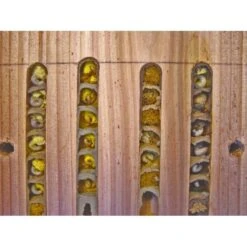 Solitaire Bijenkast In Hout - Educatief 10 Solitaire Bijenkast In Hout - Educatief -DCM Verkoopwinkel solitaire bijen kast 1484053464 4 600