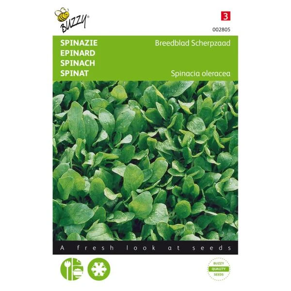 Spinazie Breedblad Scherpzaad 3 Spinazie Breedblad Scherpzaad