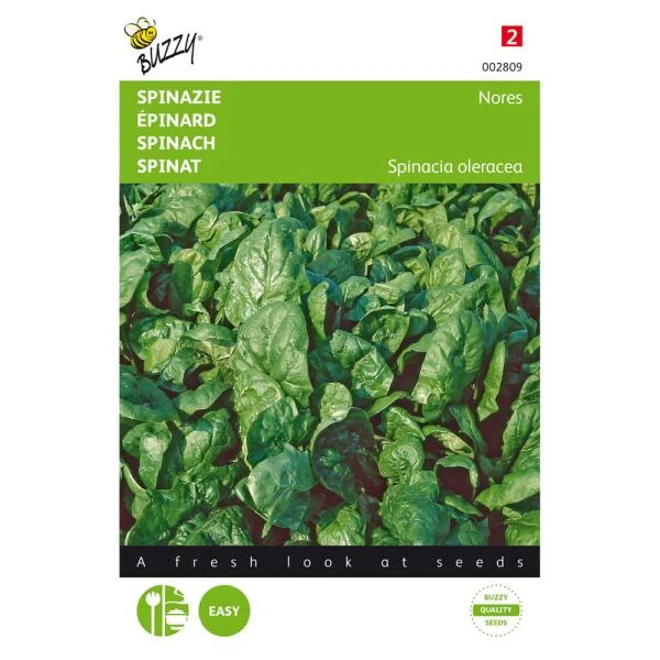 Spinazie Nores 15 G - Spinacia Oleracea 3 Spinazie Nores 15 G - Spinacia Oleracea