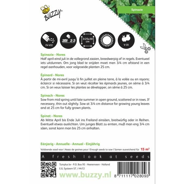 Spinazie Nores 15 G - Spinacia Oleracea 4 Spinazie Nores 15 G - Spinacia Oleracea - Afbeelding 2