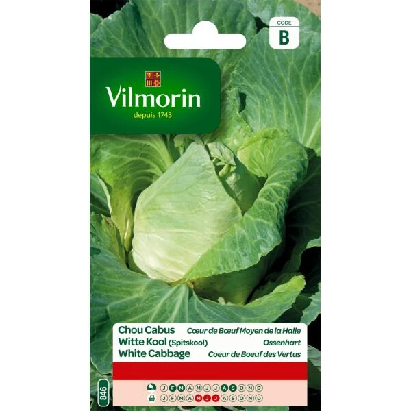 Spitskool (Witte Kool) Ossenhart 3 Spitskool (Witte Kool) Ossenhart