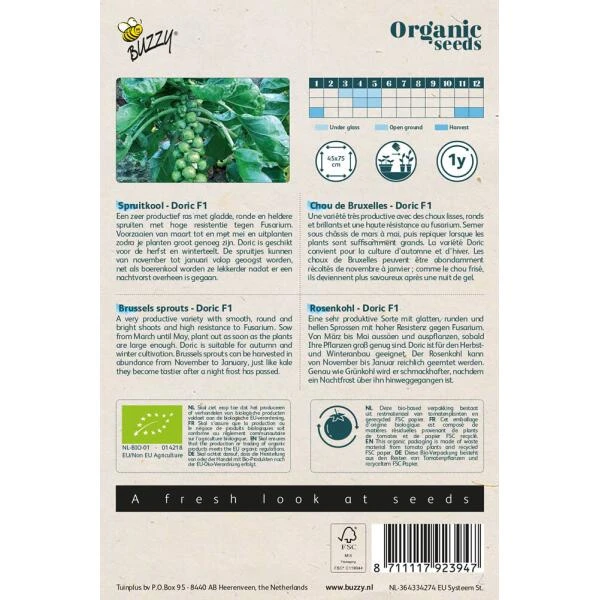 Spruitkool Doric F1 BIO 4 Spruitkool Doric F1 BIO - Afbeelding 2