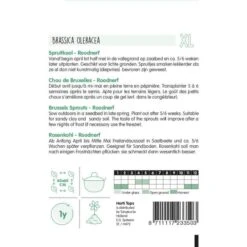 Spruitkool Roodnerf - Brassica Oleracea 5 Spruitkool Roodnerf - Brassica Oleracea -DCM Verkoopwinkel spruitkool roodnerf brassica oleracea 1646840350 835 600