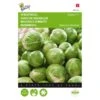 Spruitkool Topline F1 Hybride - Brassica Oleracea 1 Spruitkool Topline F1 Hybride - Brassica Oleracea -DCM Verkoopwinkel spruitkool topline f1 hybride brassica oleracea 1646840316 115 600