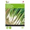 Stengelui Ishikura - Allium Fistulosum -DCM Verkoopwinkel stengelui ishikura allium fistulosum 1646840322 255 600