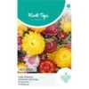 Strobloem Mix - Helichrisum Bracteatum 1 Strobloem Mix - Helichrisum Bracteatum -DCM Verkoopwinkel strobloem mix helichrisum bracteatum 1646840362 1092 600