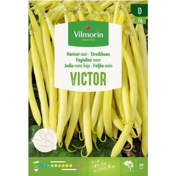 Struikboon Victor - 20 G 3 Struikboon Victor - 20 G