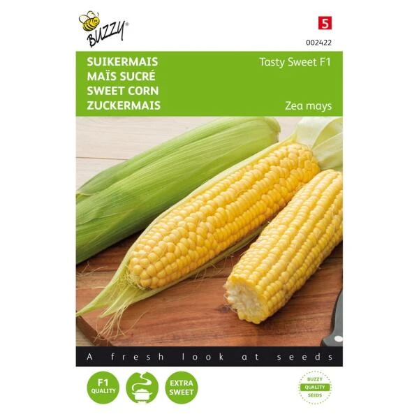 Suikermaïs Tasty Sweet F1 - Zea Mays 3 Suikermaïs Tasty Sweet F1 - Zea Mays