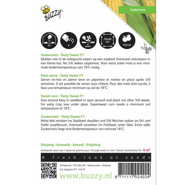 Suikermaïs Tasty Sweet F1 - Zea Mays 4 Suikermaïs Tasty Sweet F1 - Zea Mays - Afbeelding 2