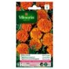 Tagetes Globe Orange - Tagetes Patula 2 Tagetes Globe Orange - Tagetes Patula -DCM Verkoopwinkel tagetes globe orange tagetes patula 1646839548 246 600