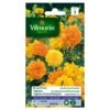 Tagetes Grootbloemig Dubbel Gemengd - Tagetes Erecta -DCM Verkoopwinkel tagetes grootbloemig dubbel gemengd tagetes erecta 1646839549 247 600