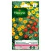 Tagetes Miniature Gemengd - Tagetes Patula 2 Tagetes Miniature Gemengd - Tagetes Patula -DCM Verkoopwinkel tagetes miniature gemengd tagetes patula 1646839524 96 600