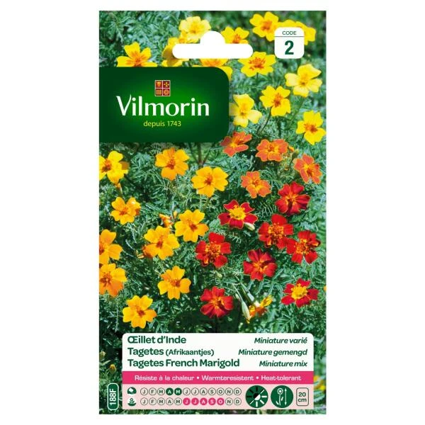 Tagetes Miniature Gemengd - Tagetes Patula 3 Tagetes Miniature Gemengd - Tagetes Patula