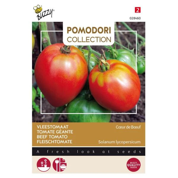 Tomaten Pomodori Cuor Di Bue - Lycopersicon Esculentum
