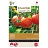Tomaten Pomodori Tigerella - Lycopersicon Esculentum -DCM Verkoopwinkel tomaten pomodori tigerella lycopersicon esculentum 1646840338 583 600