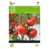 Tomaten St. Pierre - Lycopersicon Esculentum -DCM Verkoopwinkel tomaten st pierre lycopersicon esculentum 1646840322 245 600
