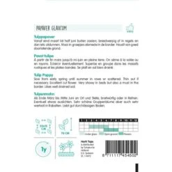 Tulppapaver - Papaver Glauca 5 Tulppapaver - Papaver Glauca -DCM Verkoopwinkel tulppapaver papaver glauca 1646840363 1119 600