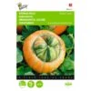 Turkse Muts - Cucurbita Maxima Turbaniformis -DCM Verkoopwinkel turkse muts cucurbita maxima turbaniformis 1646840326 341 600