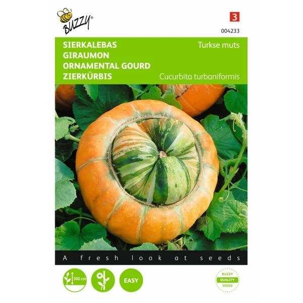 Turkse Muts - Cucurbita Maxima Turbaniformis 3 Turkse Muts - Cucurbita Maxima Turbaniformis