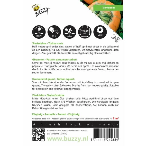 Turkse Muts - Cucurbita Maxima Turbaniformis 4 Turkse Muts - Cucurbita Maxima Turbaniformis - Afbeelding 2