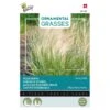 Vedergras Pony Tails - Stipa Tenuissima 2 Vedergras Pony Tails - Stipa Tenuissima -DCM Verkoopwinkel vedergras pony tails stipa tenuissima 1646840389 1624 600