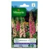 Vingerhoedskruid Digitalis Excelsior Gemengd - Digitalis Purpurea 1 Vingerhoedskruid Digitalis Excelsior Gemengd - Digitalis Purpurea -DCM Verkoopwinkel vingerhoedskruid digitalis excelsior gemengd digitalis purpurea 1646839548 243 600
