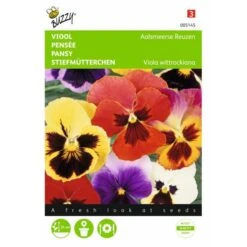 Viola Wittrockiana Aalsmeerse Reuzen