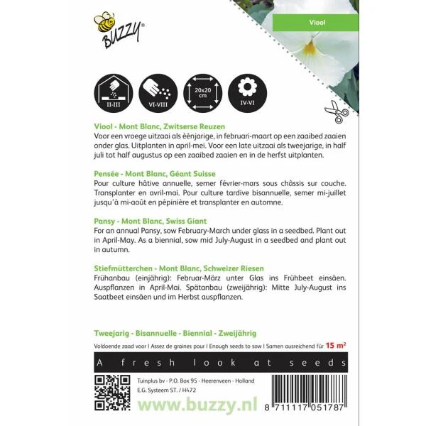 Viola Wittrockiana Mont Blanc 4 Viola Wittrockiana Mont Blanc - Afbeelding 2