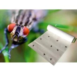 Vliegen Vangrol 1000 × 25 Cm -DCM Verkoopwinkel vliegen vangrol 10 m 1498819201 1 600