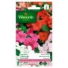 Vlijtig Liesje Hybride F1 Gemengd - Impatiens Walleriana 2 Vlijtig Liesje Hybride F1 Gemengd - Impatiens Walleriana -DCM Verkoopwinkel vlijtig liesje hybride f1 gemengd impatiens walleriana 1646839525 98 600