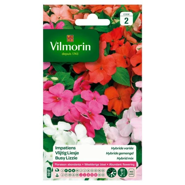 Vlijtig Liesje Hybride F1 Gemengd - Impatiens Walleriana 3 Vlijtig Liesje Hybride F1 Gemengd - Impatiens Walleriana
