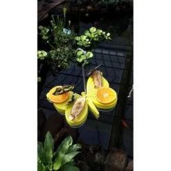 ESSCHERT DESIGN Vlinder Voederschaal Vlindervorm -DCM Verkoopwinkel vlinder voederschaal 1484052690 3 600