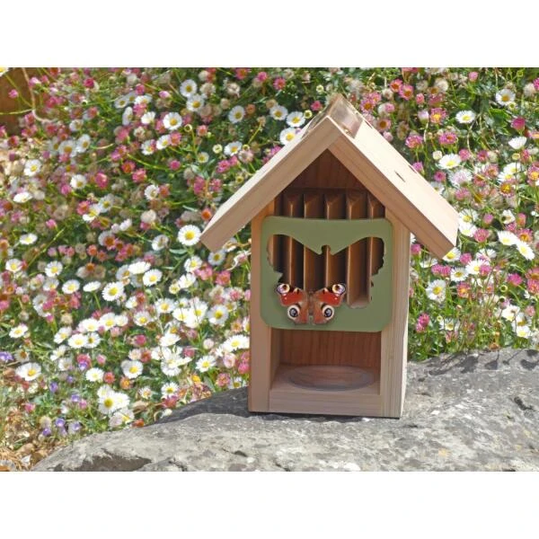 Vlinderschuur Met Voederschaal 2 Vlinderschuur Met Voederschaal