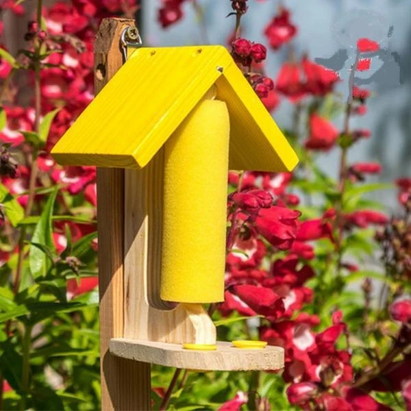 Vlindervoederhuisje 3 Vlindervoederhuisje