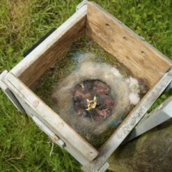 Nestkast EN Voederhuis Black Cottage -DCM Verkoopwinkel vogelhuis voederhuis cottage 1510052073 1 600