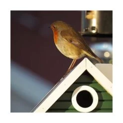 Nestkast + Voederhuis - Multiholk Green Cottage -DCM Verkoopwinkel vogelhuis voederhuis groen 1672144539 2 600